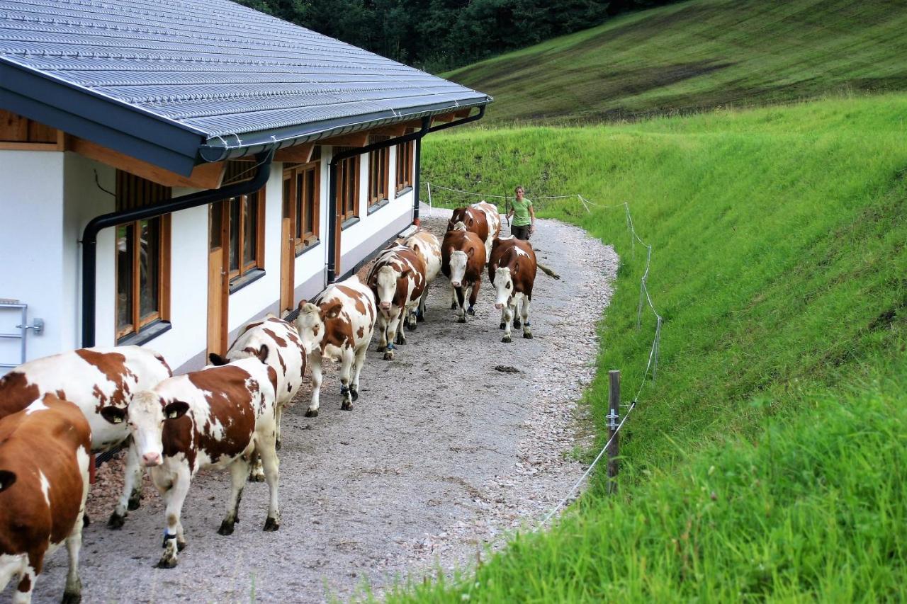 Schartlhof Villa Flachau Exterior photo