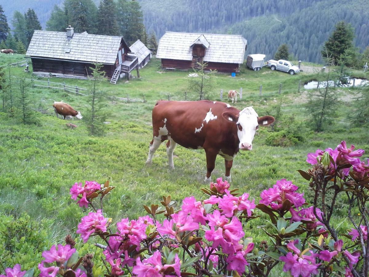 Schartlhof Villa Flachau Exterior photo